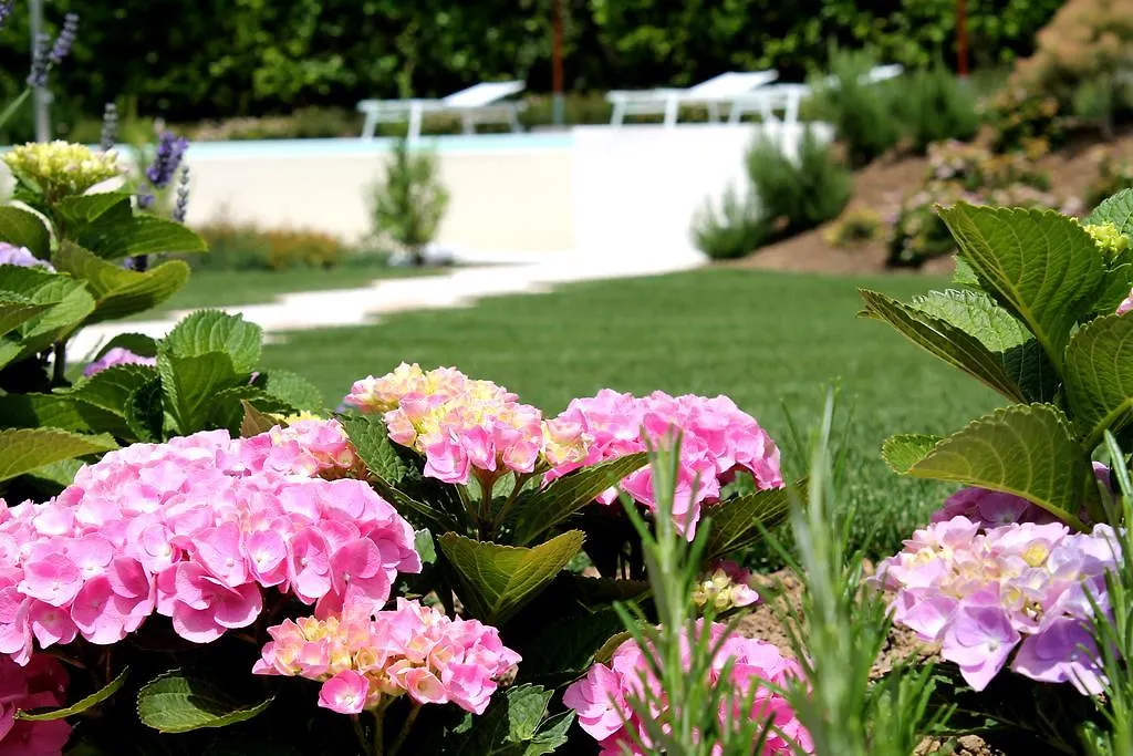 Farm stay Ca Muretta Relais Bardolino Italy